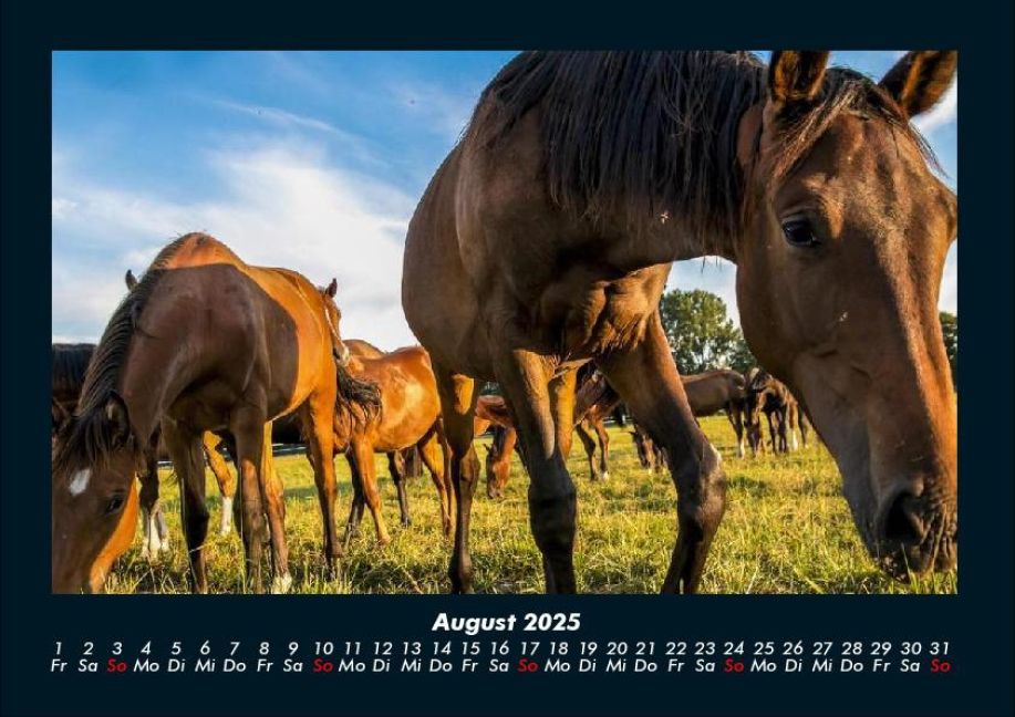 InsideView 12