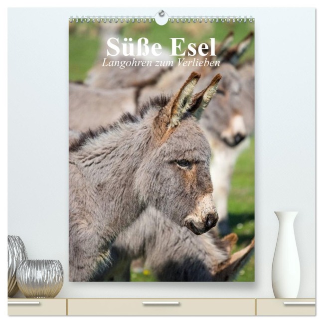 Süße Esel. Langohren zum Verlieben (hochwertiger Premium Wandkalender 2026 DIN A2 hoch), Kunstdruck in Hochglanz - Elisabeth Stanzer