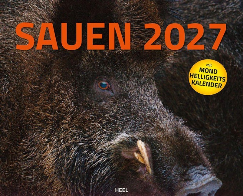 Sauen Kalender 2027 Jagd-Kalender im XXL-Format - 