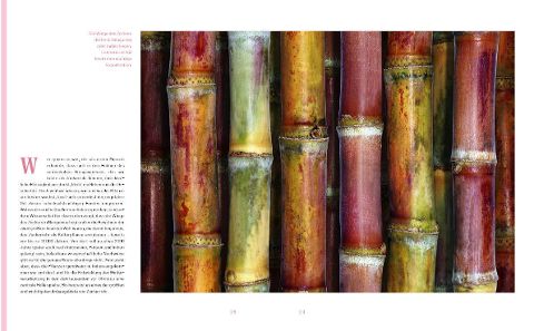 InsideView 3