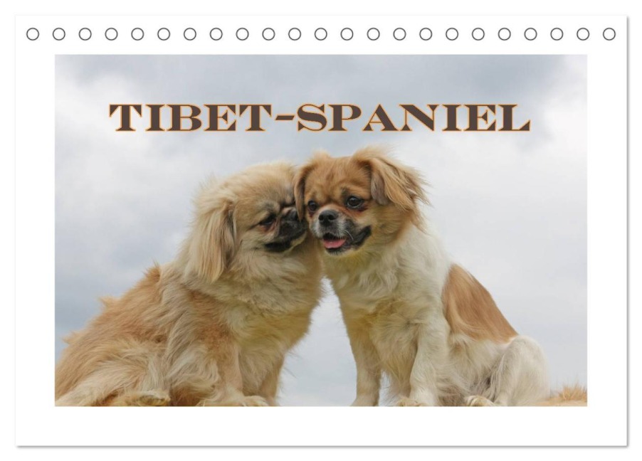 Tibet-Spaniel (Tischkalender 2026 DIN A5 quer), CALVENDO Monatskalender - Antje Lindert-Rottke