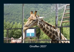 Cover-Bild zum Titel 'Giraffen 2027 Fotokalender DIN A4' von 'Tobias Schmitt, Kevin Heber'