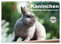 Cover-Bild zum Titel 'Kaninchen - knuddelige Hausgenossen (Wandkalender 2026 DIN A3 quer), CALVENDO Monatskalender' von 'Fotodesign Verena Scholze'