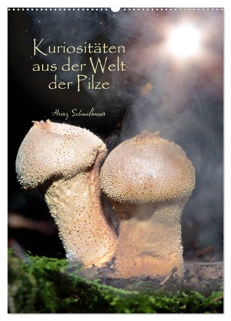Kuriositäten aus der Welt der Pilze (Wandkalender 2024 DIN A2 hoch), CALVENDO Monatskalender - Heinz Schmidbauer