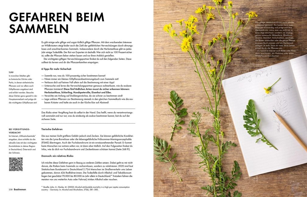 InsideView 17