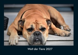Cover-Bild zum Titel 'Welt der Tiere 2027 Fotokalender DIN A4' von 'Tobias Schmitt, Kevin Heber'