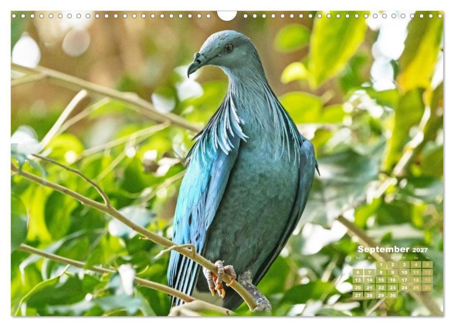InsideView 14
