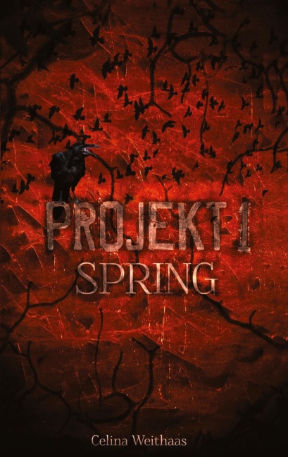 Spring - Projekt I - Celina Weithaas