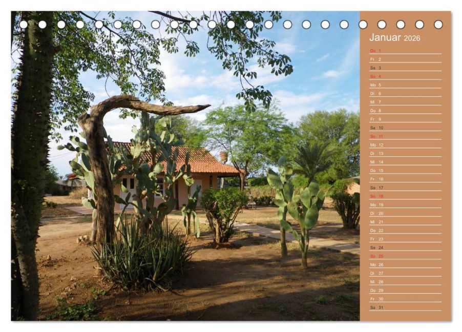 InsideView 6