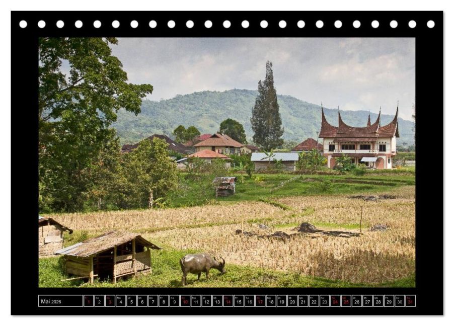InsideView 10