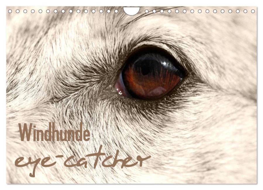 Windhunde eye-catcher (Wandkalender 2026 DIN A4 quer), CALVENDO Monatskalender - Pfoten-Design Andrea Redecker