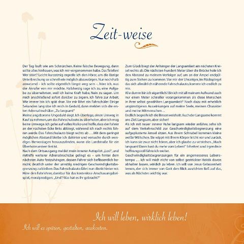 InsideView 2
