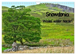 Snowdonia - Wales' wilder Norden (Wandkalender 2025 DIN A4 quer), CALVENDO Monatskalender - Lost Plastron Pictures