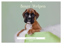 Cover-Bild zum Titel 'Boxer Welpen einfach zuckersüß (Wandkalender 2026 DIN A2 quer), CALVENDO Monatskalender' von 'Yvonne Janetzek'