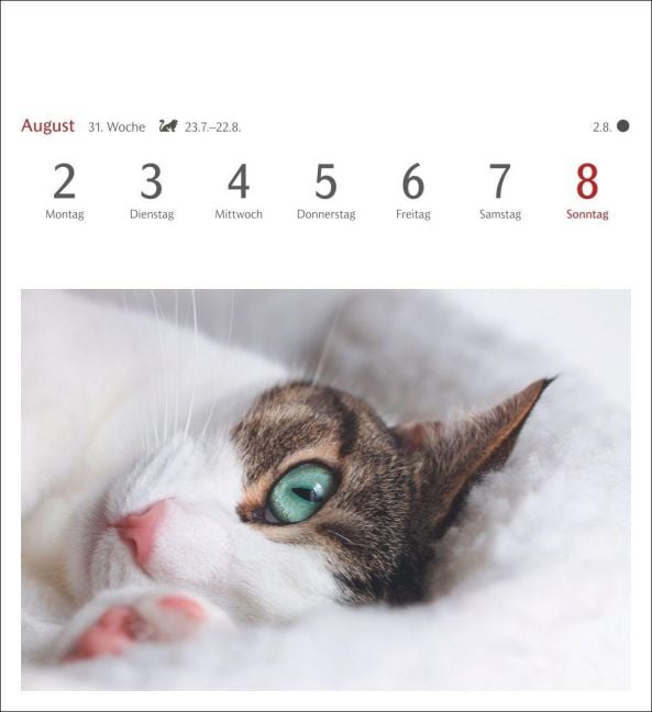 InsideView 12