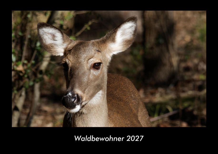 Waldbewohner 2027 Fotokalender DIN A3 - Tobias Becker