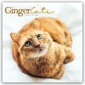 Ginger Cats - Rothaarige Katzen 2024 - Carousel Calendar