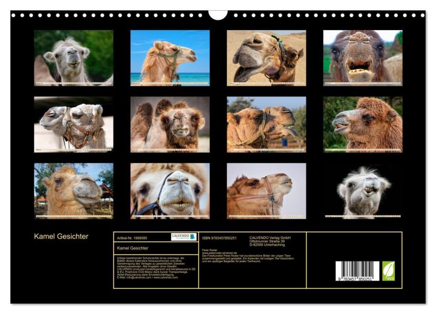 InsideView 5