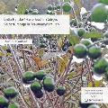 Cover-Bild zum Titel 'Selbstfürsorge in Traumadynamiken' von 'Hans-Joachim Görges, Lydia Hantke'