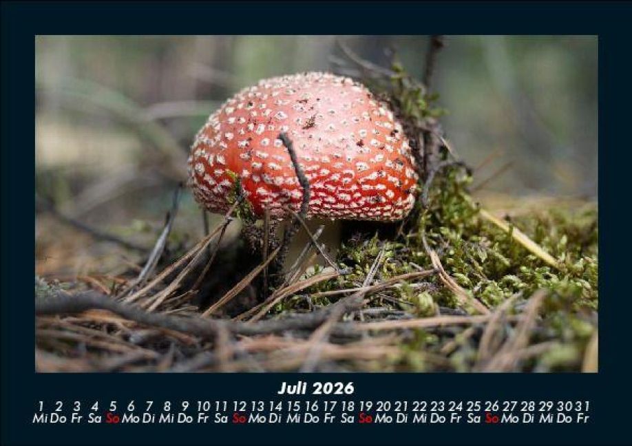 InsideView 11