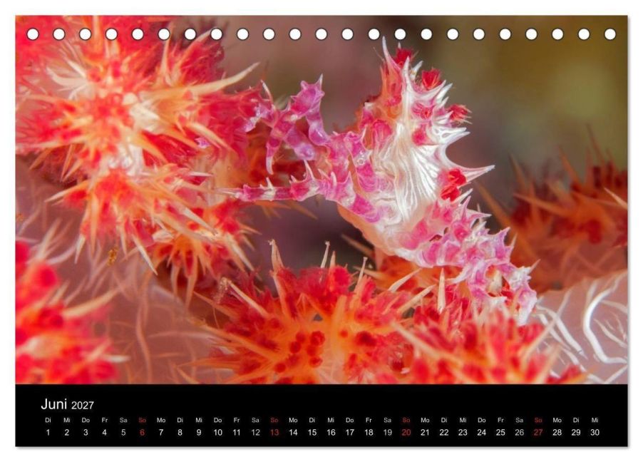 InsideView 11