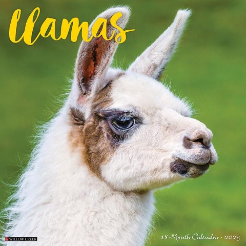 Llamas 2025 12 X 12 Wall Calendar - Willow Creek Press