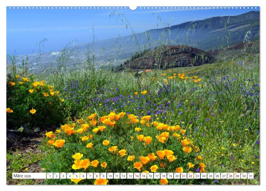 InsideView 7