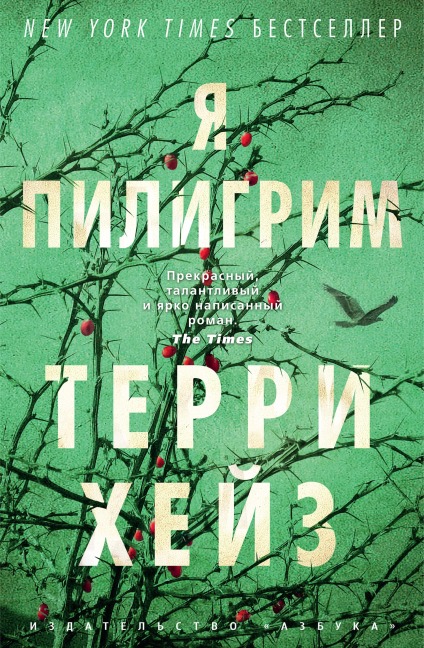 I Am Piligrim - Terry Hayes