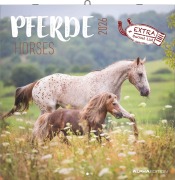 Cover-Bild zum Titel 'Pferde 2026 - Broschürenkalender 30x30 cm (30x60 geöffnet) - Kalender mit Platz für Notizen - Horses - Bildkalender - Wandplaner - Pferdekalender' von ''