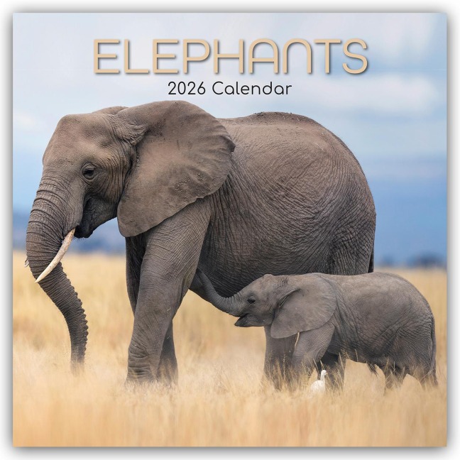 Elephants - Elefanten 2026 - 16-Monatskalender - The Gifted