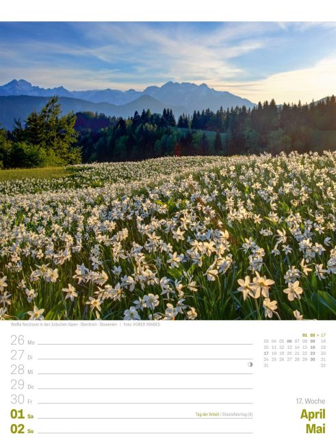 InsideView 21