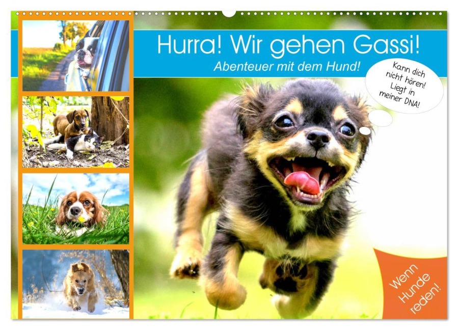 Hurra! Wir gehen Gassi! Abenteuer mit dem Hund! (Wandkalender 2025 DIN A2 quer), CALVENDO Monatskalender - Rose Hurley