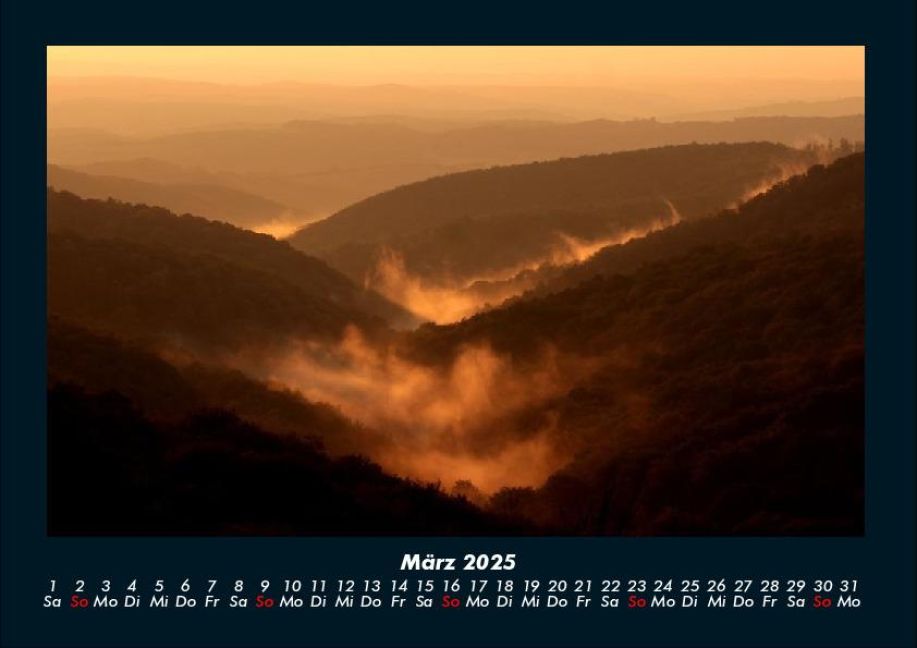 InsideView 7