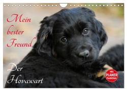 Cover-Bild zum Titel 'Mein bester Freund - Der Hovawart (Wandkalender 2026 DIN A4 quer), CALVENDO Monatskalender' von 'Sigrid Starick'