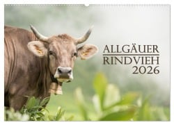 Cover-Bild zum Titel 'Allgäuer Rindvieh 2026 (Wandkalender 2026 DIN A2 quer), CALVENDO Monatskalender' von 'Juliane Wandel'