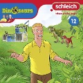 Schleich Dinosaurs CD 12 - 