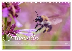 Cover-Bild zum Titel 'Hummeln - Flugaufnahmen eines faszinierenden Insekts (Wandkalender 2026 DIN A3 quer), CALVENDO Monatskalender' von 'Christian Müller'