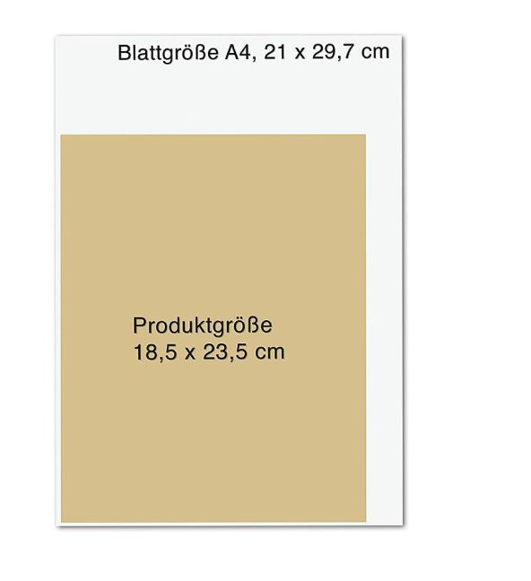 InsideView 6
