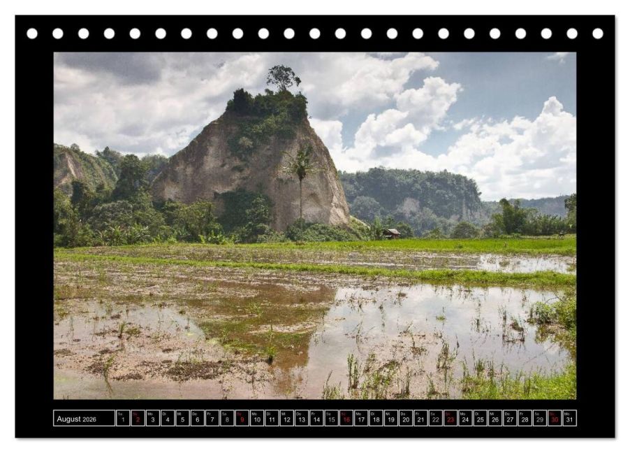InsideView 13