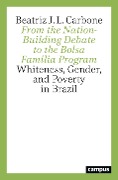 From the Nation-Building Debate to the Bolsa Família Program - Beatriz J. L. Carbone