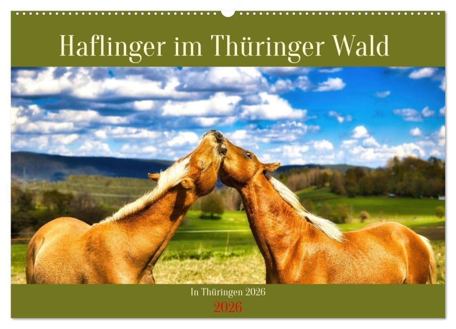 Haflinger im Thüringer Wald (Wandkalender 2026 DIN A2 quer), CALVENDO Monatskalender - Torsten Irmer