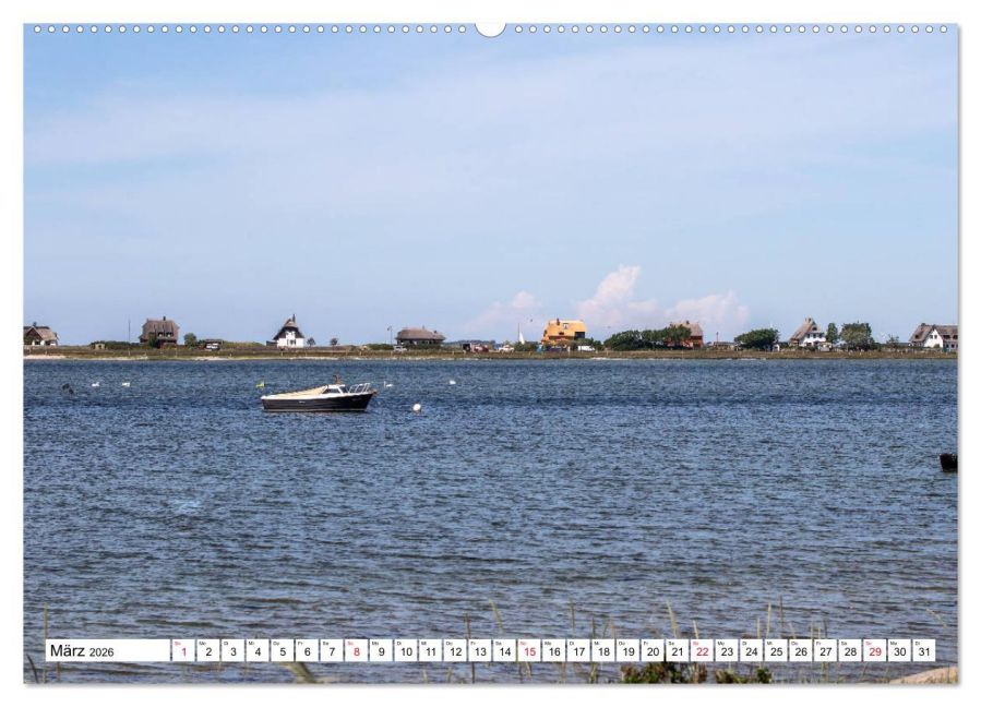 InsideView 7