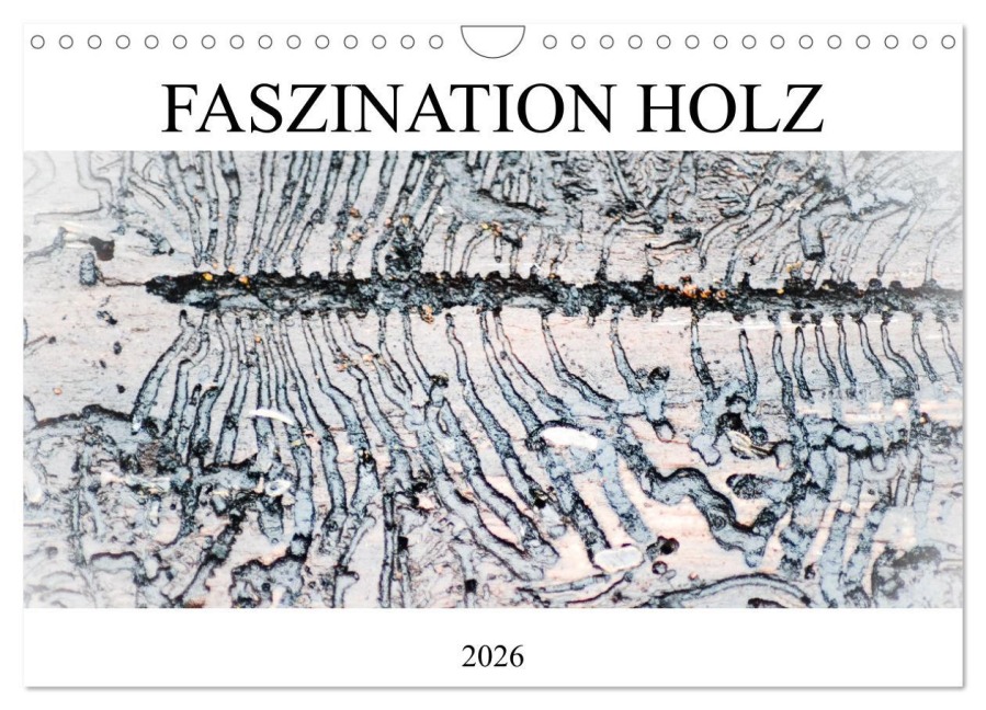 Faszination Holz (Wandkalender 2026 DIN A4 quer), CALVENDO Monatskalender - Isabell Kull