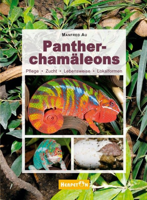 Pantherchamäleons - Manfred Au