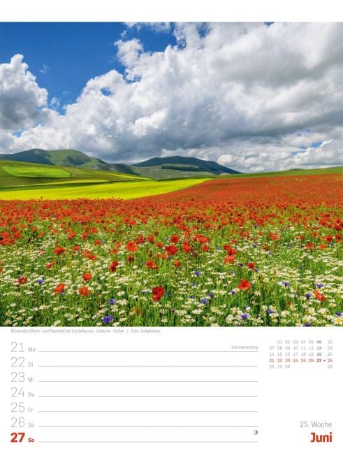 InsideView 29