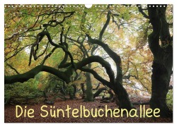 Cover-Bild zum Titel 'Die Süntelbuchenallee (Wandkalender 2027 DIN A3 quer), CALVENDO Monatskalender' von 'Bernhard Loewa'