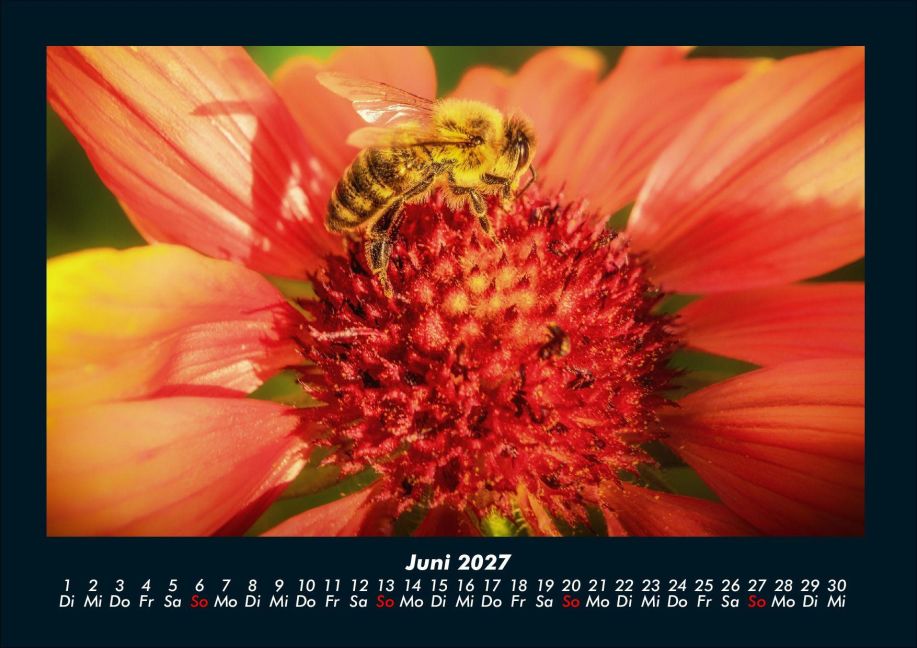 InsideView 10