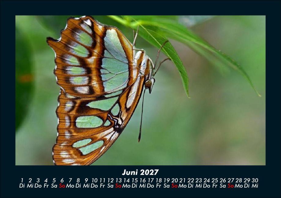 InsideView 10