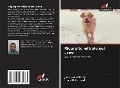 Cover-Bild zum Titel 'Rigurgito mitrale nel cane' von 'Juan Juan Morey, Irene Ortiz Leal'