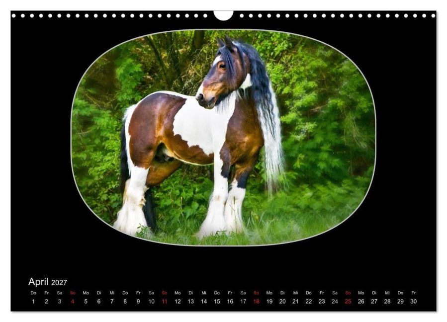 InsideView 9